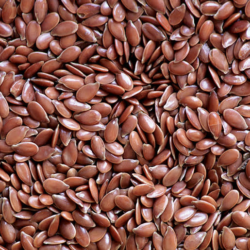 flaxseed-steven-foster-square-1.jpg Flax Seeds 100gram - Image 1