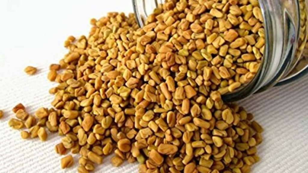 methi_seeds_1642997243175_1642997259087-1.jpg Meethi Seeds (Fenugreek seeds/Biji Klabet ) 100gm - Image 1