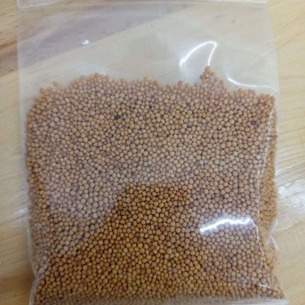 yellow mustard seed 100 gram